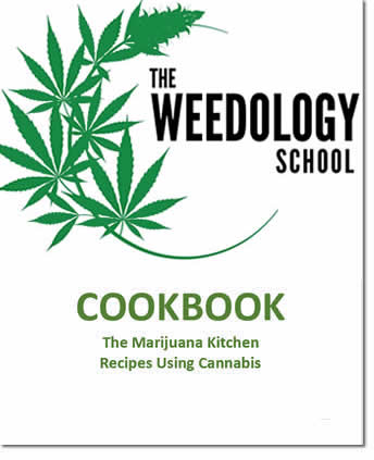 edibles-workbook